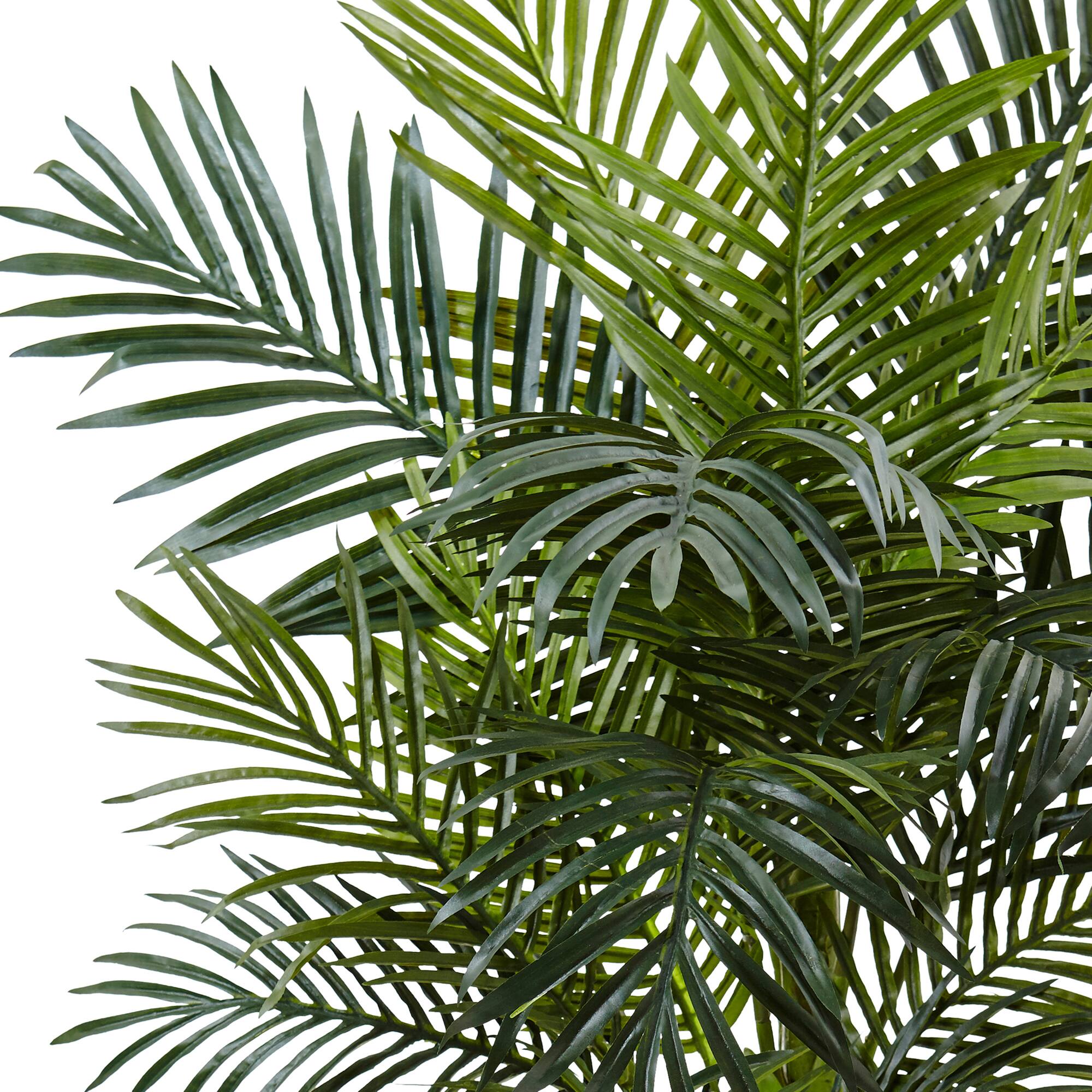 4.5ft. Golden Cane Palm Tree in White Oval Planter
